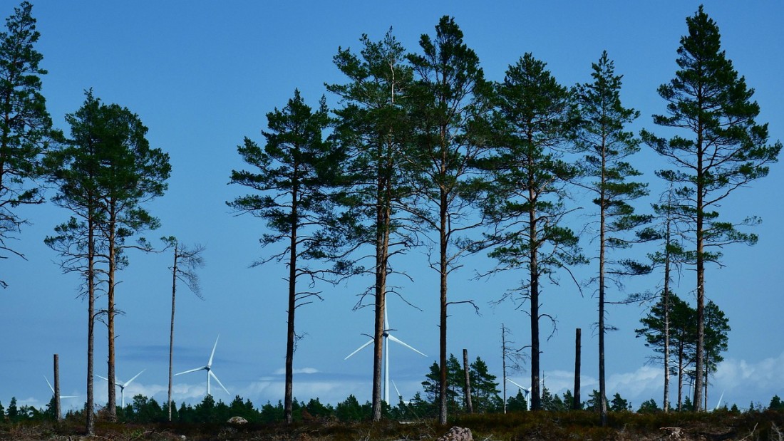 wind-4791332_1280