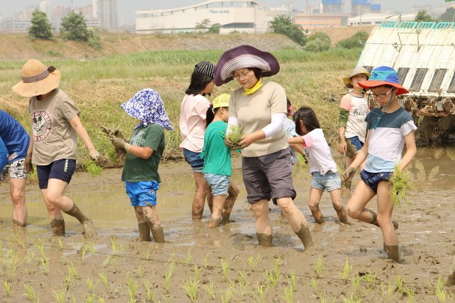 2018년 06월 09일 장남들 모내기 참여
