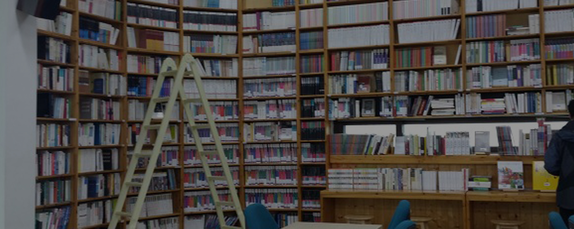 사단법인 세종환경교육 메인비주얼